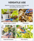 6.5 Inch Gardening Pruning Snips with Straight Blades for precise cuts on plants, buds, bonsai, and fruit trimming.