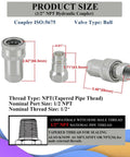Two Sets One Half Inch NPT Hydraulic Quick Connectors ISO 5675 Ball Lock Pioneer Style Fittings for Tractors close-up view