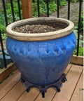 Blue pot on 20 Inch Heavy Duty Rolling Plant Caddy With Casters For Indoor And Outdoor Use Large Plant Dolly