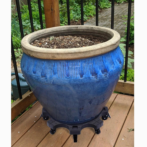 Blue pot on 20 Inch Heavy Duty Rolling Plant Caddy With Casters For Indoor And Outdoor Use Large Plant Dolly