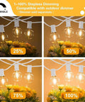 97 Ft White Outdoor String Lights With 49 Shatterproof G40 LED Bulbs, dimmable brightness levels shown above flowers