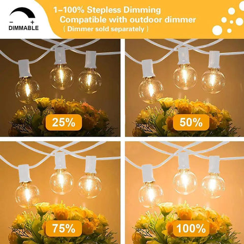 97 Ft White Outdoor String Lights With 49 Shatterproof G40 LED Bulbs, dimmable brightness levels shown above flowers
