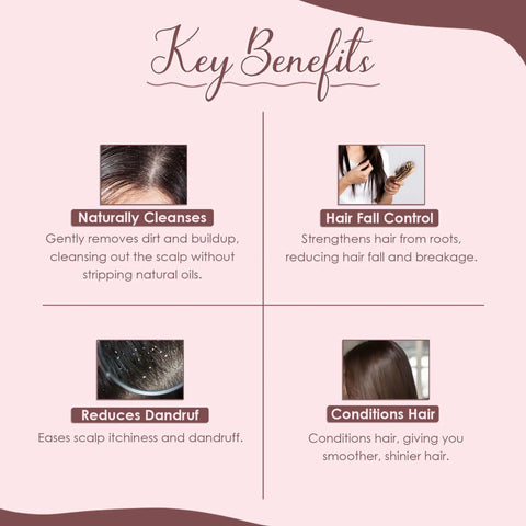 Image showing benefits of Aritha Soap Nut Powder For Silky Hair Organic And Pure USDA NOP Certified Aritha Powder From India Natural Hair Conditioner And Cleanser And Shampoo Alternative No Harsh Stuff Chemical Free Eco Friendly Saponin Rich Formula 227g including naturally cleanses, hair fall control, reduces dandruff, and conditions hair.