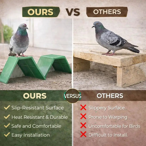 Comparison of 10-Piece Plastic Dove Rest Stands With Anti-Skid And Heat-Resistant Design and wooden perch for birds