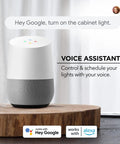 Voice assistant device next to text promoting control and schedule of lights, compatible with Indoor Outdoor RGBIC Smart WiFi LED Strip With Voice Control And Music Sync, 16.4 Feet, Multi Color LED Tape Lights For Home Theater Vibe, Mood Lighting, And Party Scenes
