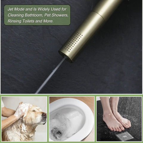 2 In 1 Handheld Shower Head Set With Rain And Jet Modes demonstrating jet mode used for pet shower, toilet rinse, feet cleaning