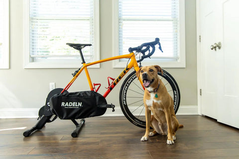 Indoor Bike Trainer Chain Cover And Drivetrain Guard Padded Chainstay Shield being used on a bike, with dog present, universal fit black.