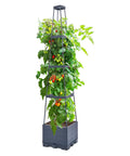 4 Tier Tomato Planter With Box Trellis, 56 Inch Raised Garden Bed Boxes, Climbing Plant Cages for tomatoes and veggies