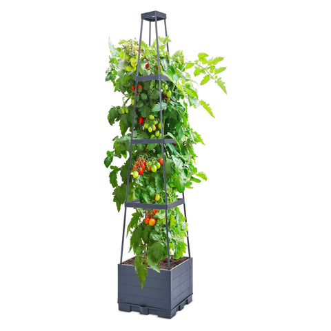 4 Tier Tomato Planter With Box Trellis, 56 Inch Raised Garden Bed Boxes, Climbing Plant Cages for tomatoes and veggies
