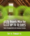 Kicks Mice To The Curb With This Heavy Duty Peppermint And Cinnamon Mouse Repellent Pouches Pack Of 10 in an attic space.