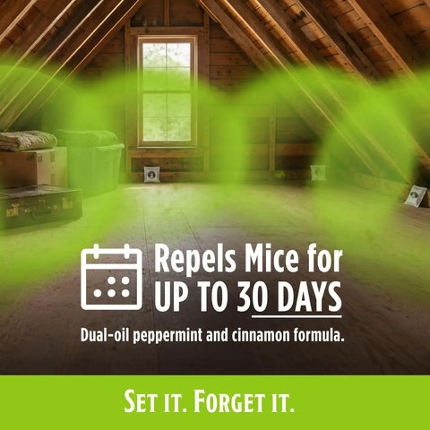 Kicks Mice To The Curb With This Heavy Duty Peppermint And Cinnamon Mouse Repellent Pouches Pack Of 10 in an attic space.