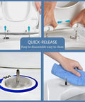 Rock Solid White Square Toilet Seat With Swift Soft Close Action And No Fuss Quick Release Hinges For Silent Drop showing easy disassembly and cleaning mechanism.