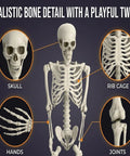Life Size Skeleton Five Point Four Foot Poseable Full Body Halloween Prop detailing skull, rib cage, hands, and joints.