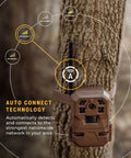 Edge Cellular Trail Camera with Auto Connect across nationwide 4G LTE on a tree, highlighted network signals.