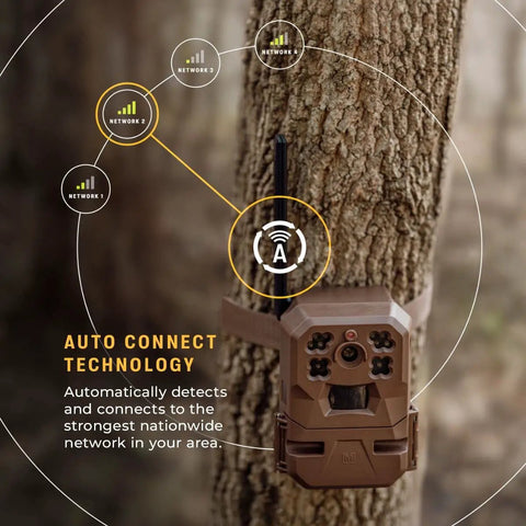 Edge Cellular Trail Camera with Auto Connect across nationwide 4G LTE on a tree, highlighted network signals.