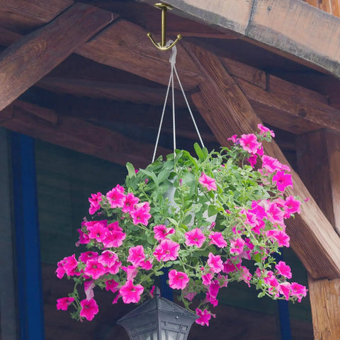 Two Prong Ceiling Hooks Set in Bronze Finish, Heavy Duty Zinc Alloy Construction holding a hanging plant under a wooden structure