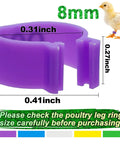 8mm Pigeon Leg Bands Kit, 100 Pcs Clip On Bird Foot Rings With 5 Bright Colors shown, purple ring dimensions for birds