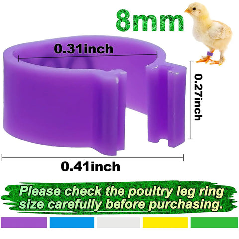 8mm Pigeon Leg Bands Kit, 100 Pcs Clip On Bird Foot Rings With 5 Bright Colors shown, purple ring dimensions for birds