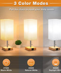 Bedside Lamp With USB C And USB A Ports 3 Color Modes From 2700K To 5000K Pull Chain Nightstand Table Lamp for various lighting.