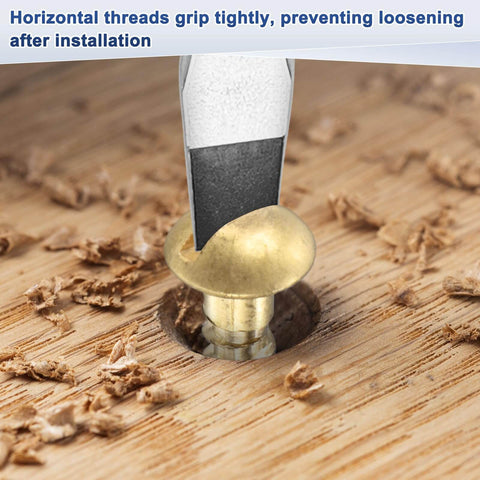 Close-up of M METERXITY 20-Pack Wood Screws, M3 x 18mm Brass Slotted Round Head Self-Tapping Screw inserted in wood