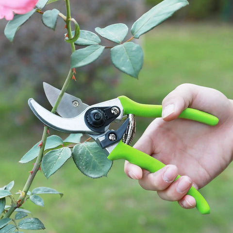Limb And Branch Pruner Tool Set With Heat Treated Steel 15 Inch Lopper And 8 Inch Pruner cutting rose branch with green handles