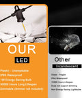 Comparison of IP65 waterproof LED vs IP44 incandescent bulb; outdoor string lights waterproof 240ft with 124 G40 globe bulbs and 4 spares connectable dimmable LED patio lights for backyard vibe porch balcony weatherproof ETL listed energy efficient mood lighting