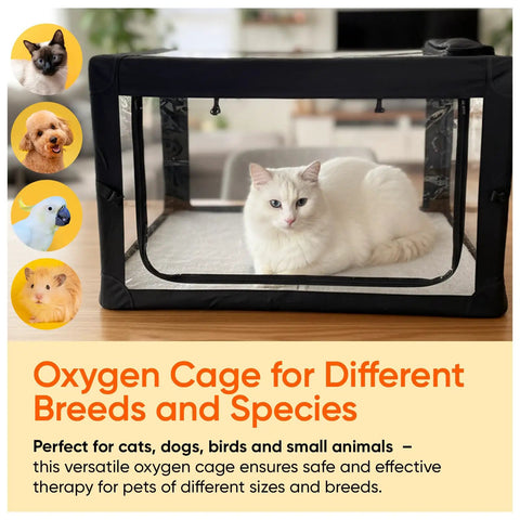 Pet Oxygen Therapy Cage With Tubing Kit Soft Mat And Venturi Adapters Vet Grade Nebulizer Chamber