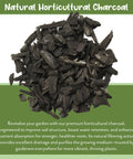 Hardwood Charcoal Soil Additive For Indoor Plants 2 Quarts Perfect For Orchids Terrariums And Gardens Boosts Drainage Purifies Air