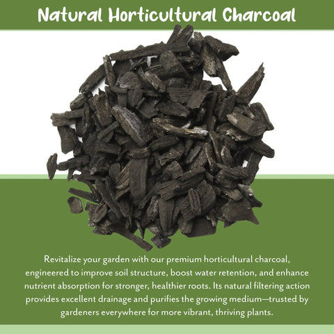 Hardwood Charcoal Soil Additive For Indoor Plants 2 Quarts Perfect For Orchids Terrariums And Gardens Boosts Drainage Purifies Air