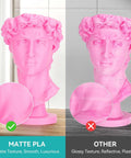 Comparison of matte pink bust with glossy version, highlighting matte texture from Matte White PLA Filament Bundle 1.75mm, 4 Spools, 4Kg Total.
