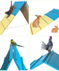 Backyard Dog Agility Course For Small To Medium Dogs, Foldable A-Frame Jump Ramp Kit with cats, rabbits, bird, and rooster using ramp