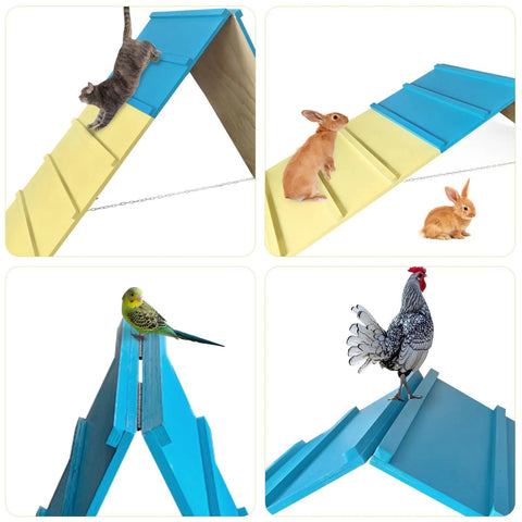 Backyard Dog Agility Course For Small To Medium Dogs, Foldable A-Frame Jump Ramp Kit with cats, rabbits, bird, and rooster using ramp