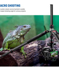 Top Tier Carbon Fiber Camera Tripod And Monopod Travel Stand Delivering rock solid stability for macro shooting with a DSLR.