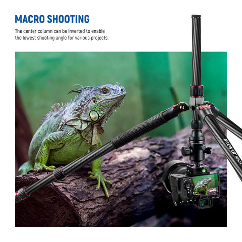 Top Tier Carbon Fiber Camera Tripod And Monopod Travel Stand Delivering rock solid stability for macro shooting with a DSLR.