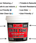 Front view of Pro Grade Brite Tone Polyurethane Instrument Finish High Solids Non Yellowing Clear Coat 16 oz bottle with features list.