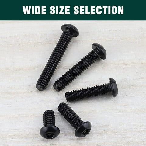 M6 by 20mm button head Torx machine screws in black stainless steel for secure builds.