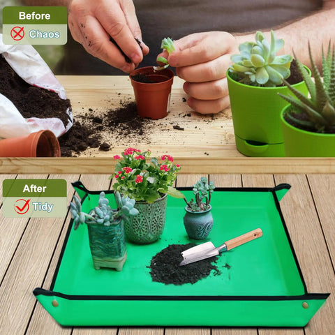 All In One Garden Tool Set For Beginners And Weekend Warriors soil planting setup with tidy tray showing neat workspace.