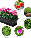 7 Pack 17 Inch Window Box Planters With Trays for Veggies and Flowers in Plastic Growing Containers with plant labels