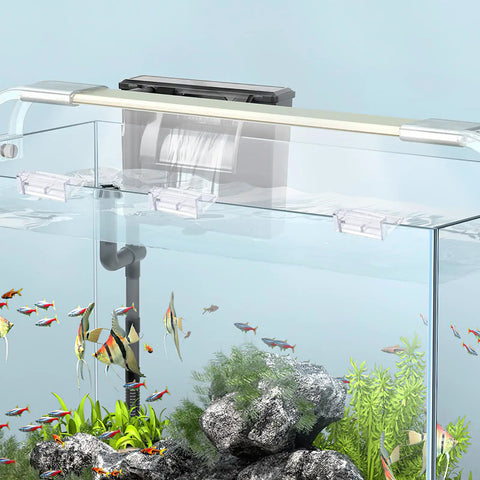 Top Shelf Aquarium Lid Clips For Rimless Glass Tanks Heavy Duty Acrylic Fish Tank Hardware Smooth Install and Secure Lock No Sweat Setup Includes Six Pieces installed on a rimless aquarium.