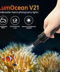 V21 Ultra Bright 2500 Lumen Dive Light With IP68 Waterproof Rating illuminating coral with clownfish below water surface