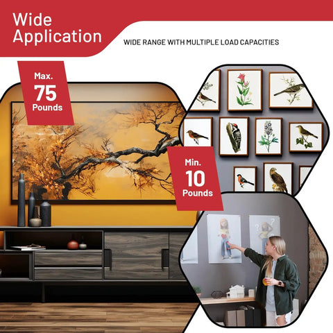 303 Piece Picture Hanging Kit With Heavy Duty Hooks And Organized Compartments For Wall Mounting And Shelf Bracing usage showcasing framed art with max 75 and min 10 pounds.