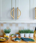 Brushed Gold Cabinet Pulls 5 Inch 128mm Hole Centers 10 Pack Handles installed on white kitchen cabinets above countertop.