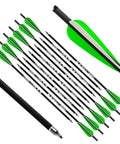 12-pack of 20 inch carbon crossbow bolts with 4 inch vanes for pro-grade precision hunting and target practice