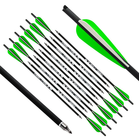 12-pack of 20 inch carbon crossbow bolts with 4 inch vanes for pro-grade precision hunting and target practice
