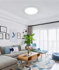 Living room with 12 Inch LED Flush Mount Ceiling Light 24W Waterproof IP54 For Indoor And Outdoor Use No Fuss Surface Flat Round Fixture Ideal For