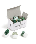 Succulent Push Pins Set for Bulletin Boards with Three Assorted Styles, Nine Count, green and purple leaves in box.