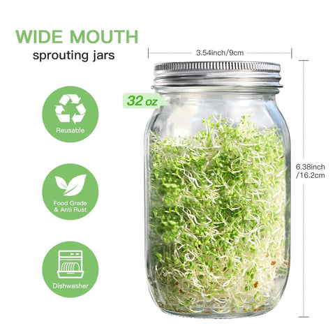 One of the Two Wide Mouth Sprouting Jars Kit With 316 Stainless Steel Lids, 32oz jar filled with sprouts, dimensions displayed, icons for features