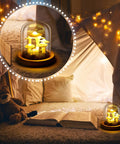 Mushroom Night Light In Glass Dome With Wooden Base LED Decor Lamp For Home Bedroom Office Wedding Party Valentine Gift Small Size Cozy Ambient Glow For Any Room