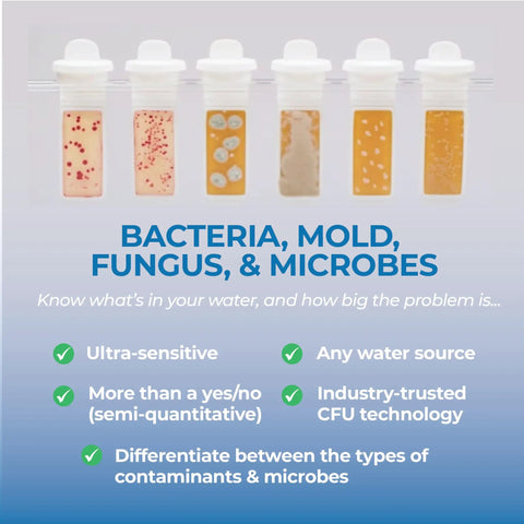 No Hassle Diy Water Test Kit That Skips The Fluff While Spotting Sneaky Bacteria And Mold In Tap Well Or Drinkable Sources, various sample vials showing bacteria growth.