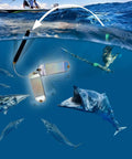 Underwater throw flashers attract wahoo and kingfish for spearfishing, showcasing pelagic targets in open water hunting scene.
